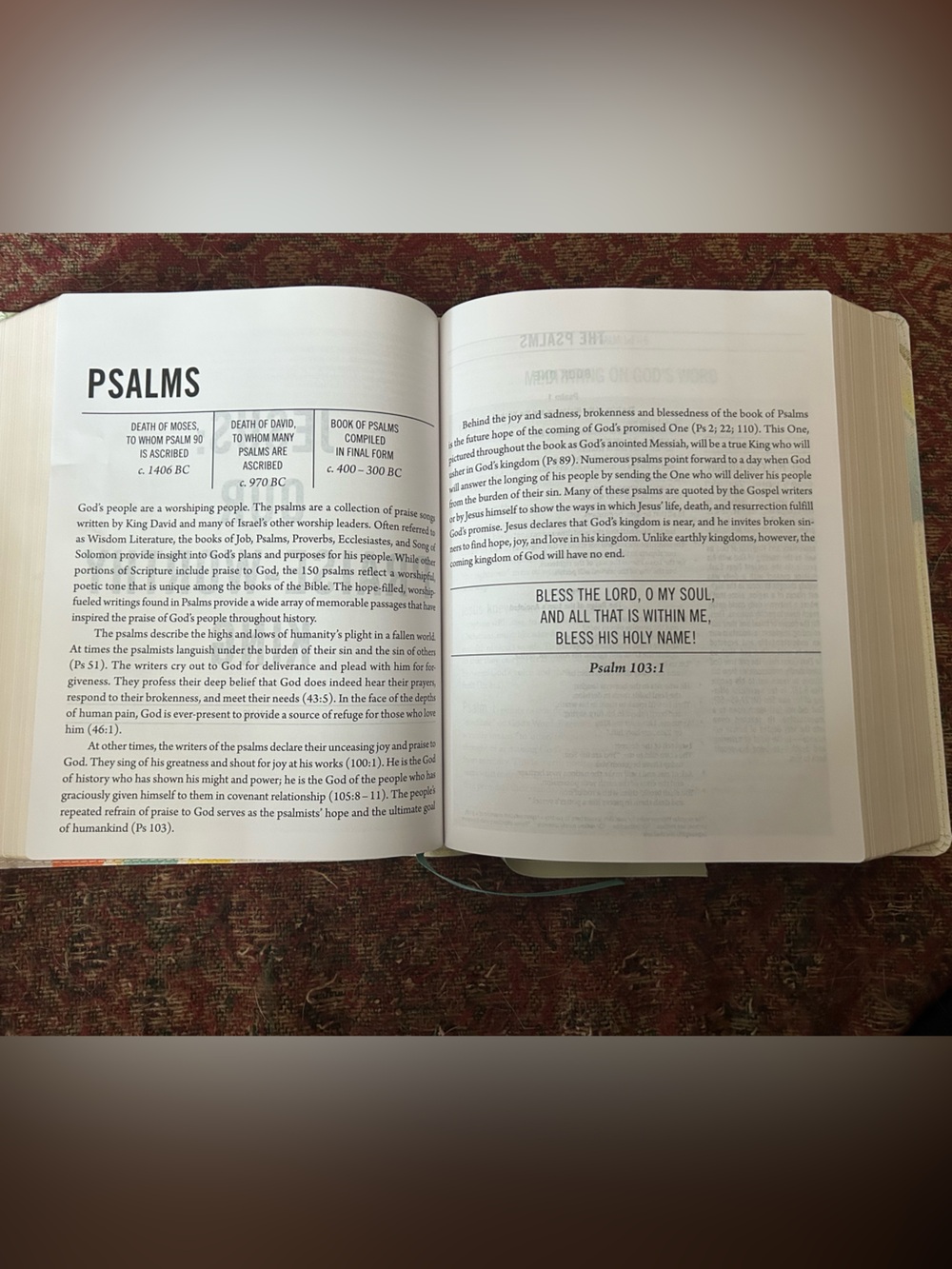 The Jesus Bible in pastel - Picture 3 of 3